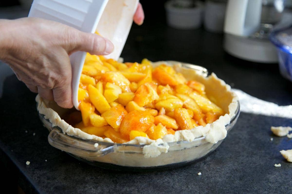 ilustrasi pie filler