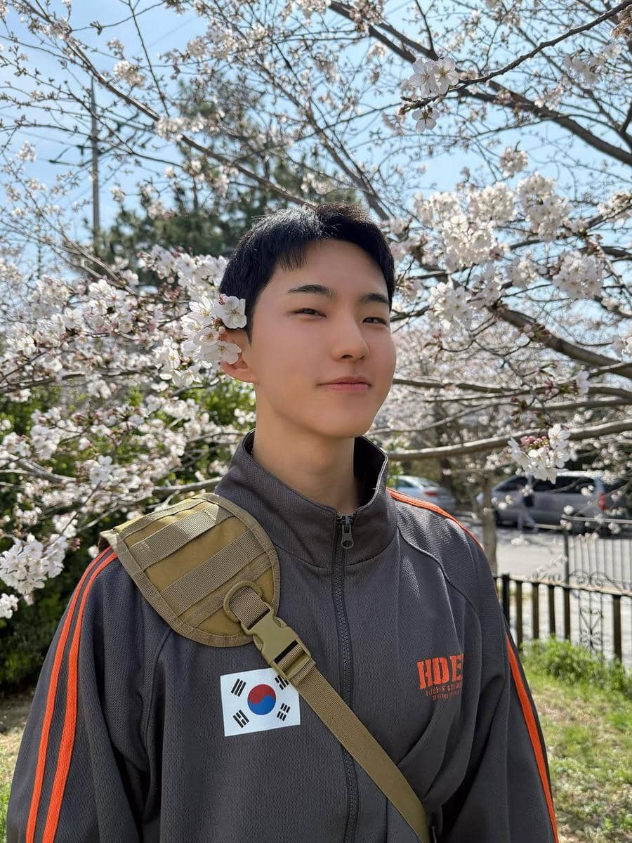 Hoshi SEVENTEEN