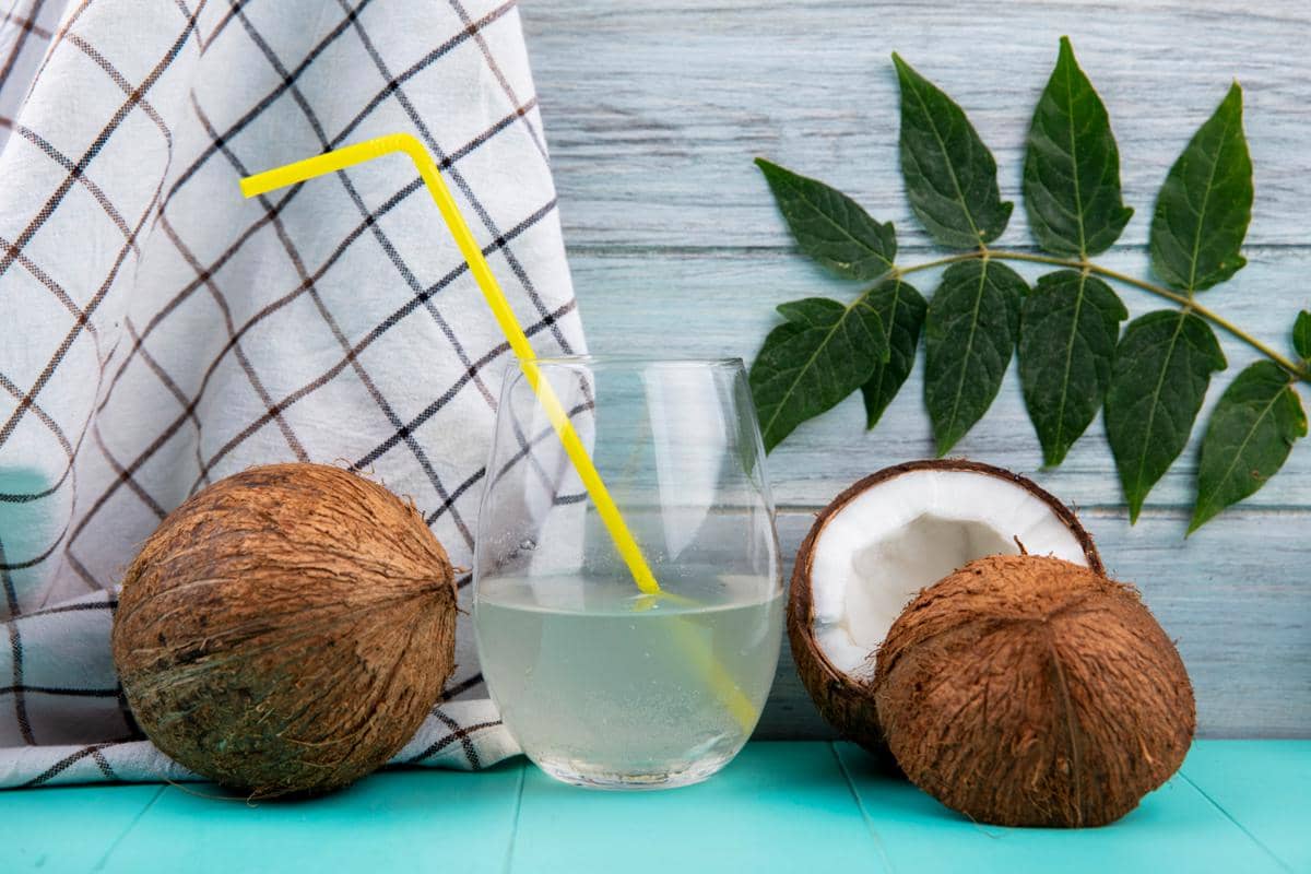 ilustrasi air kelapa