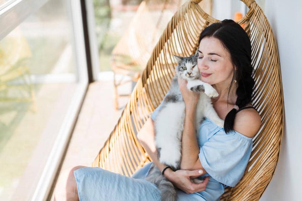 ilustrasi perempuan bermain dengan kucing