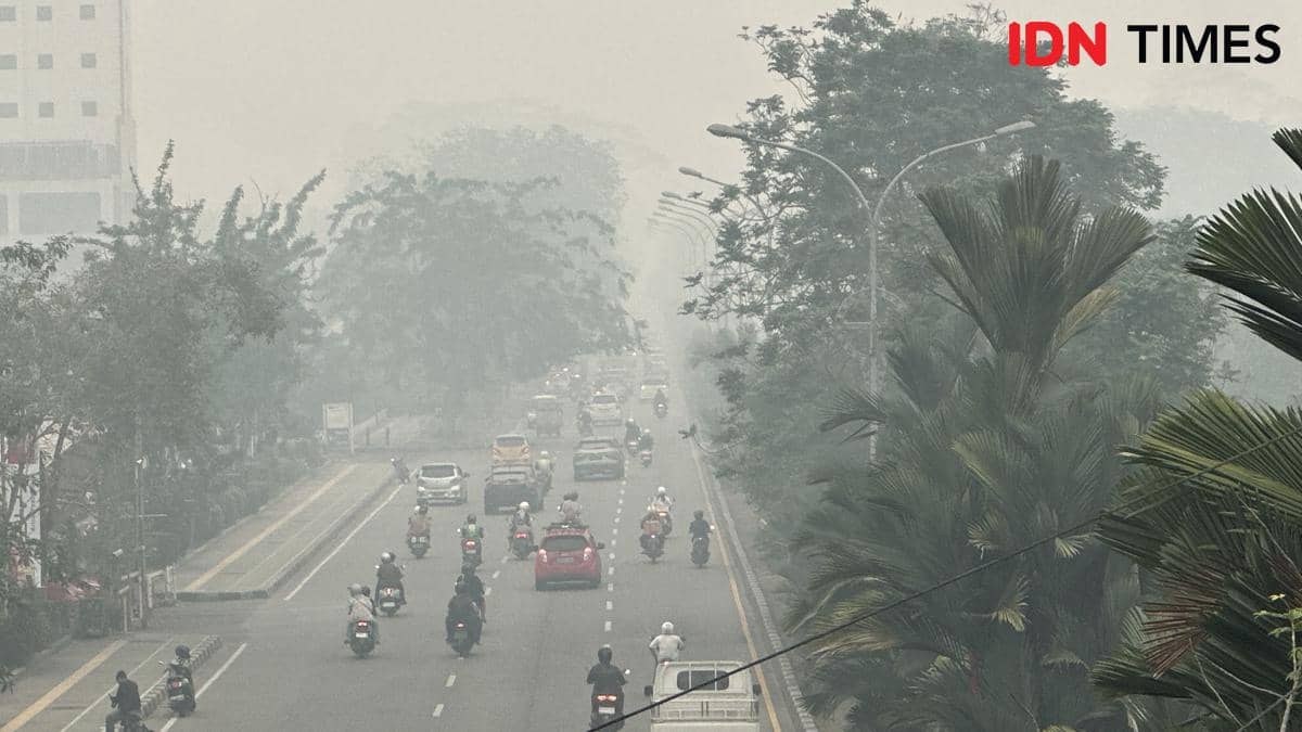 Pontianak Diselimuti Asap Pekat, Udara Berbahaya dan Langit Menguning