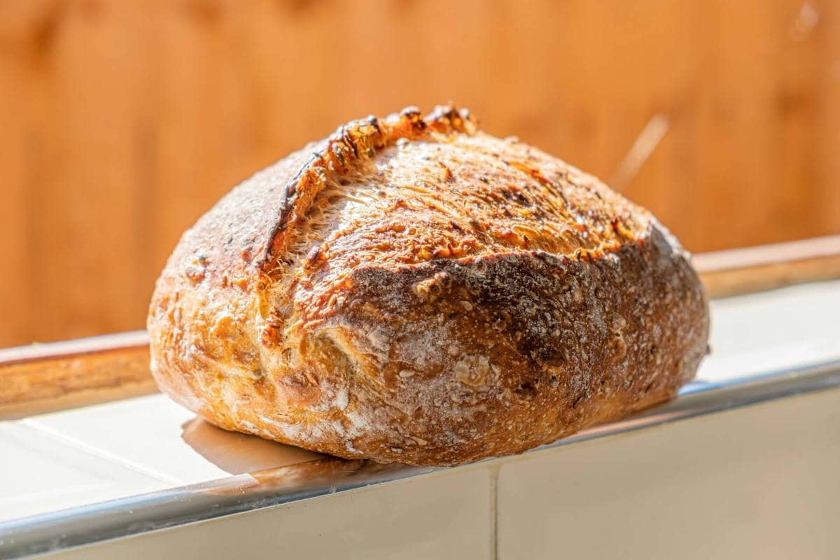 5 Temuan Sains Unik di Balik Kelezatan Roti Sourdough, Ada Peran Baker!