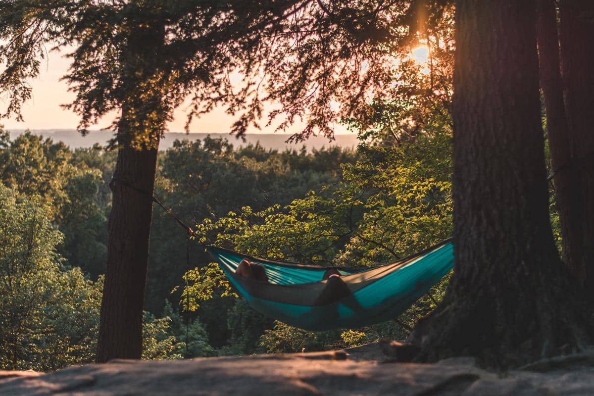 ilustrasi hammock