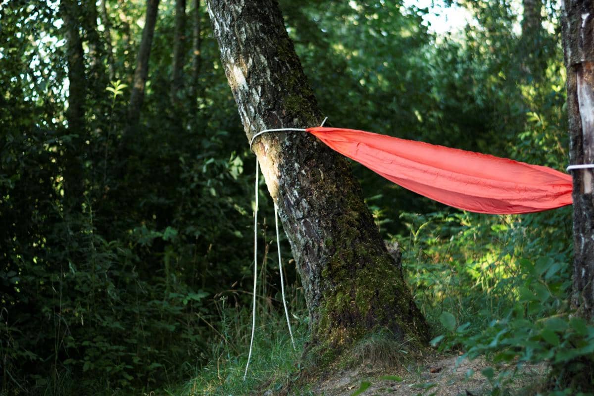ilustrasi hammock yang dipasang menggunakan tali pada dua pohon