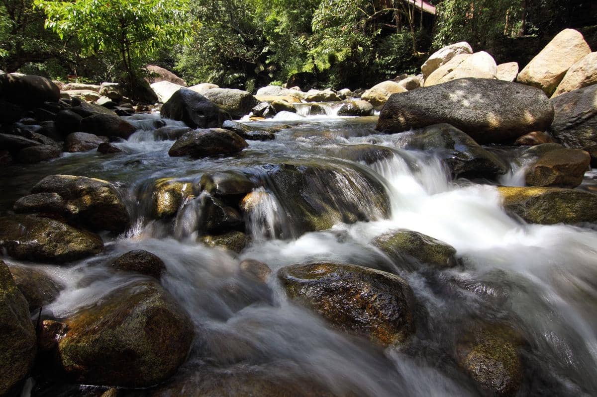 ilustrasi sungai