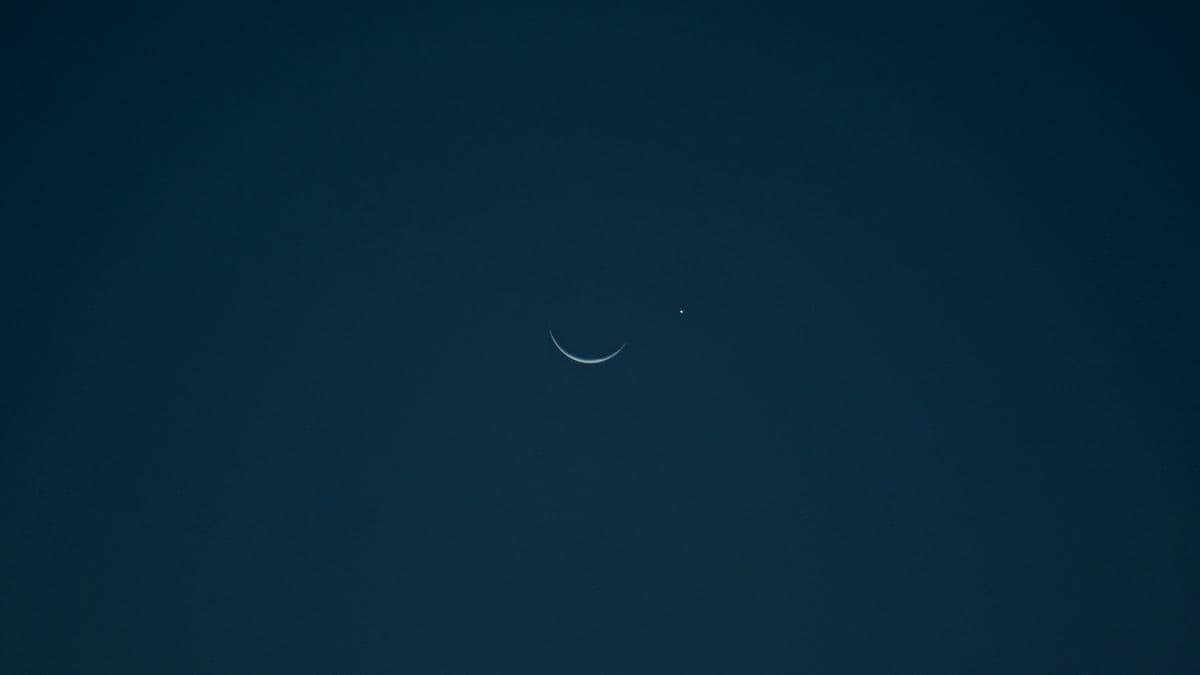 ilustrasi okultasi Venus dan Bulan