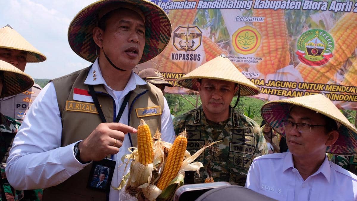 BULOG Siap Salurkan Tambahan 150 Ribu Ton Jagung hingga Akhir 2026