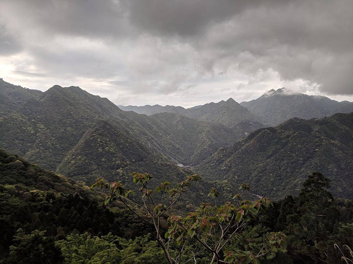 potret Yakushima
