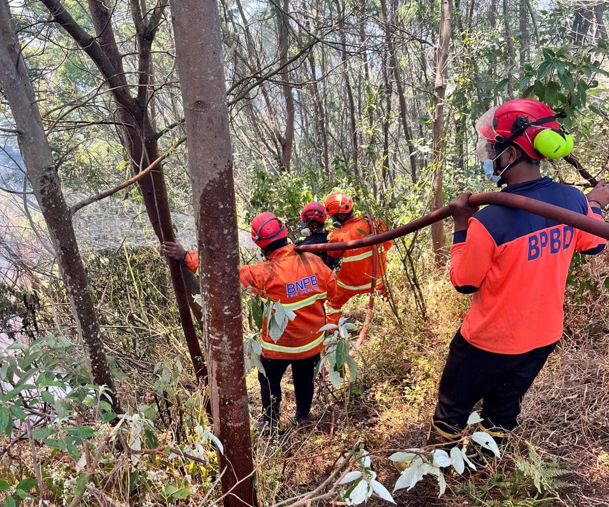 Bromo Tanpa Titik Api, Asap Masih Mengepul di Semeru-Kawinajang