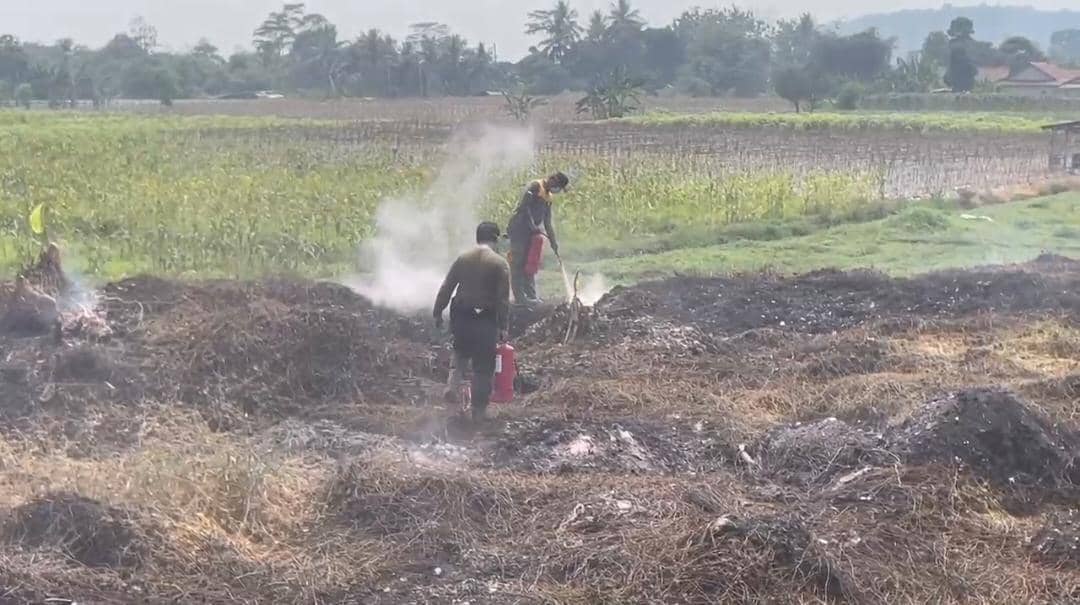 Petugas melakukan pemadaman mikro dengan APAR pada ilalang yang terbakar di area TPA Galuga, Kota Bogor.