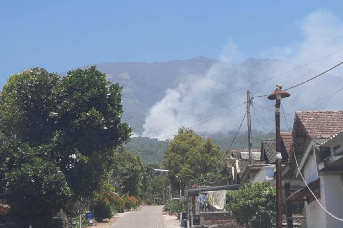 Hutan Pinus Gunung Lawu Magetan Terbakar, Api Merembet ke Arah Ngawi