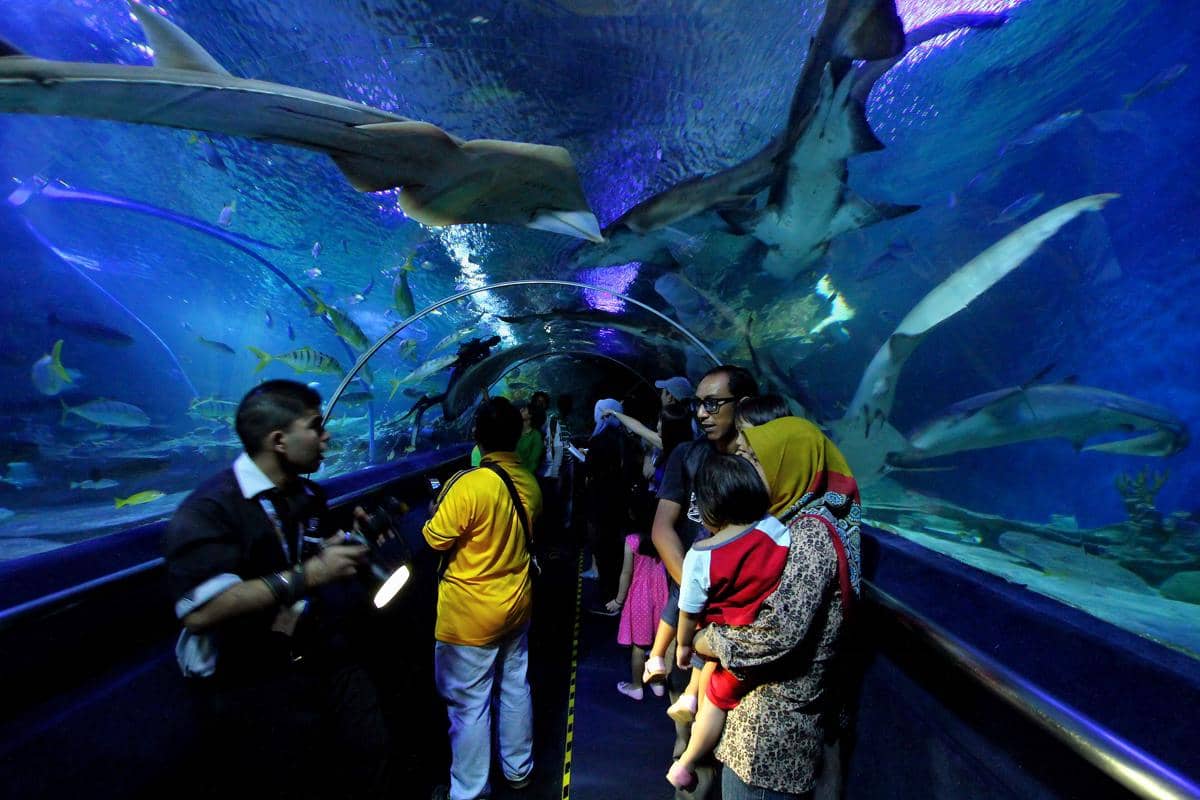 Tampilan Aquaria KLCC di Kuala Lumpur, akuarium umum yang menjadi salah satu tempat wisata di pusat kota.