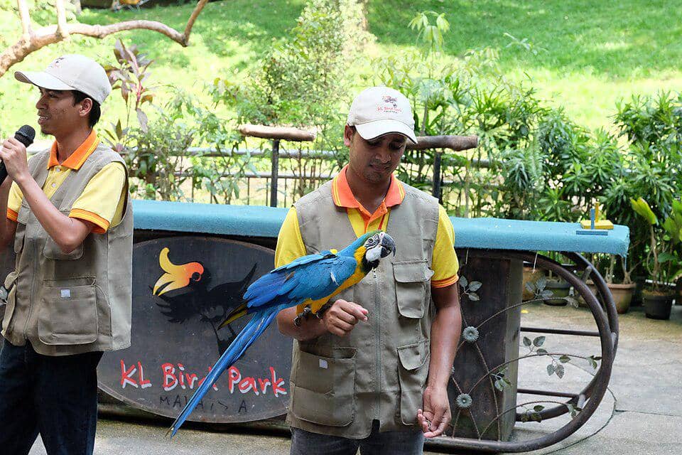 Pengunjung menikmati aktivitas melihat beragam burung di area hijau KL Bird Park, Kuala Lumpur, Malaysia.