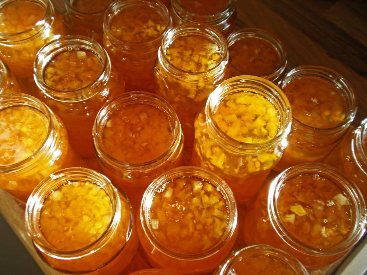 ilustrasi marmalade