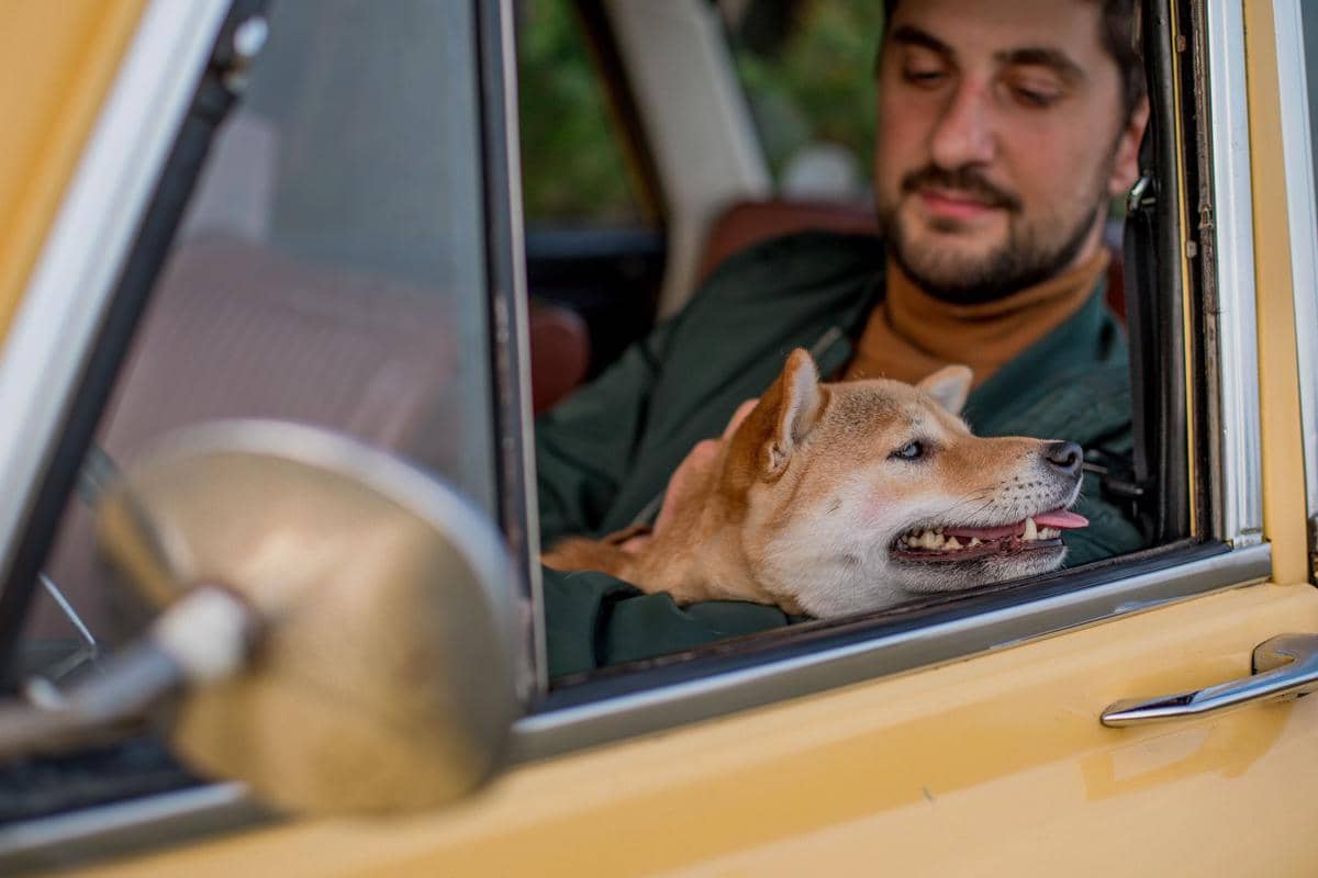 pria di dalam mobil bersama anjing
