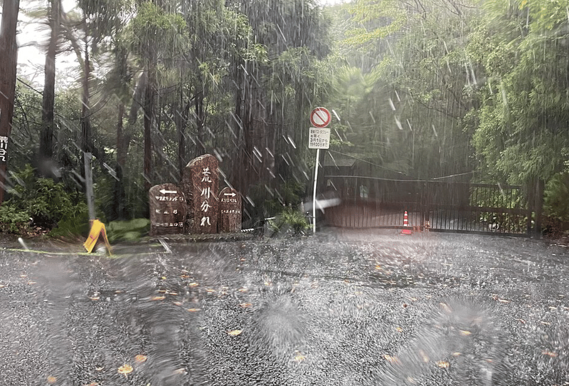 ilustrasi hujan di Yakushima, Jepang