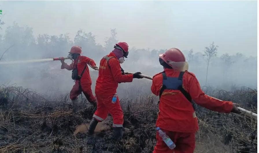 Tim Manggala Agni saat melakukan pemadaman di tengah lahan terbakar di SM Padang Sugihan, Kabupaten Ogan Komering Ilir, Sumatra Selatan.