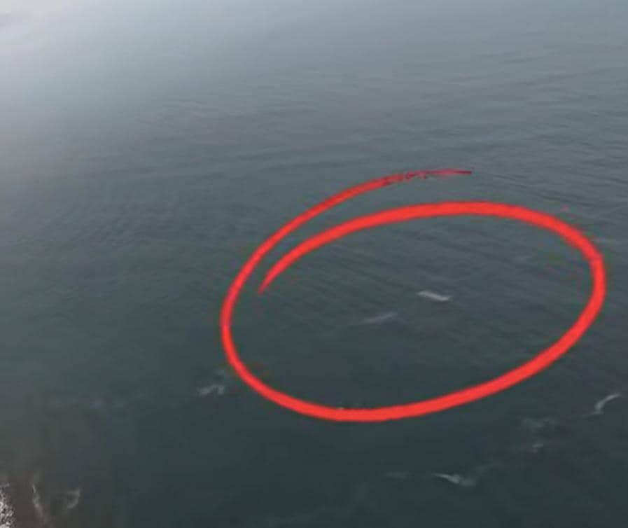 Basarnas Cek Video Benda Mencurigakan Dekat Anak Krakatau, Ini Hasilnya