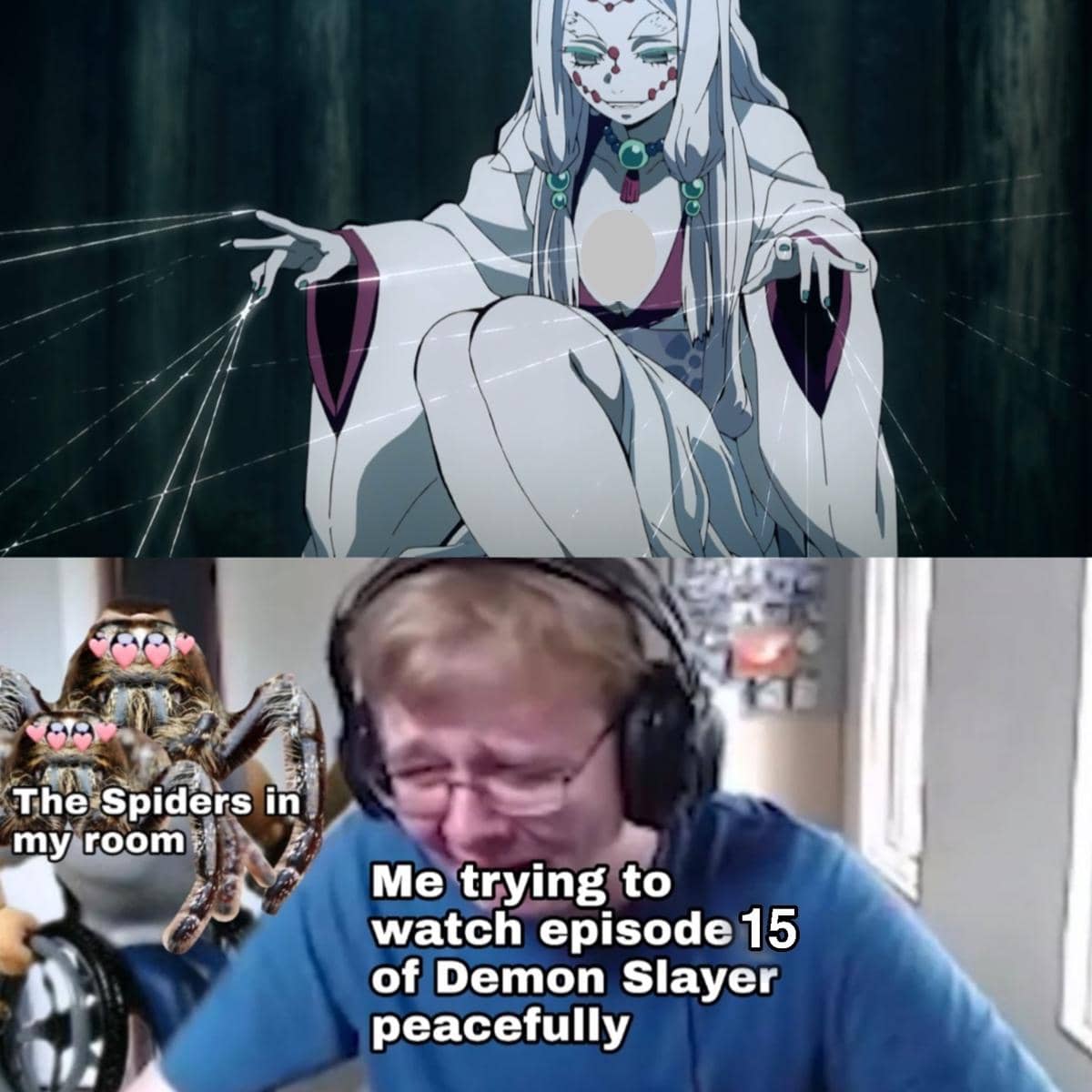 Meme anime bertema cewek laba-laba yang dibagikan oleh pengguna Reddit sassystar dalam unggahan daring.