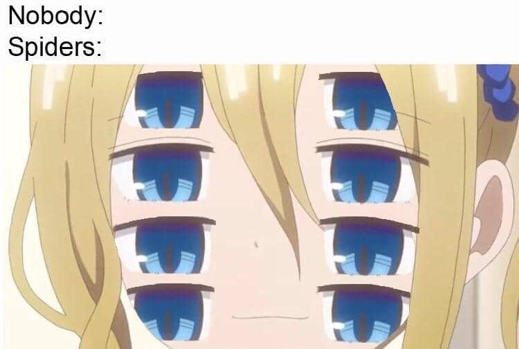 Meme bergaya anime bertema cewek laba-laba, dengan kredit sumber dari pengguna Reddit bernama BupDuf.