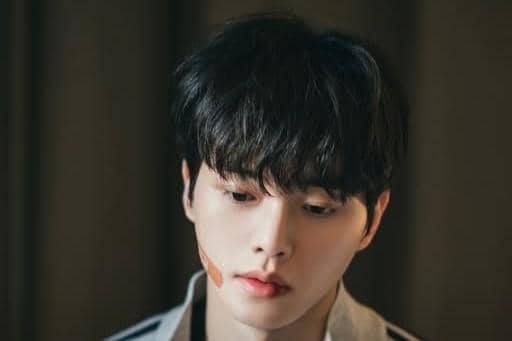 Still cut drama Four Hands, Two Sonatas