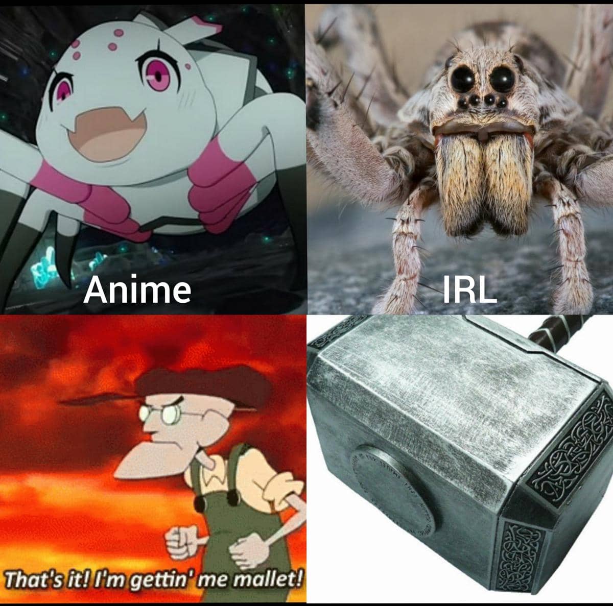 Meme anime tentang cewek laba-laba dengan ilustrasi karakter perempuan dan humor yang dibagikan pengguna Reddit J_ClutchFTV.