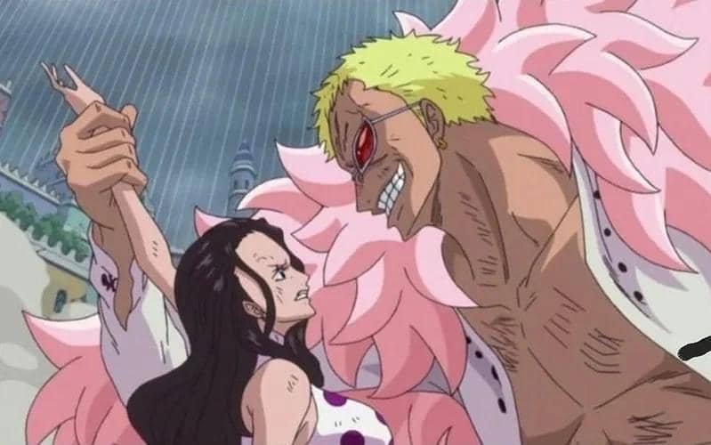 Doflamingo dan Viola