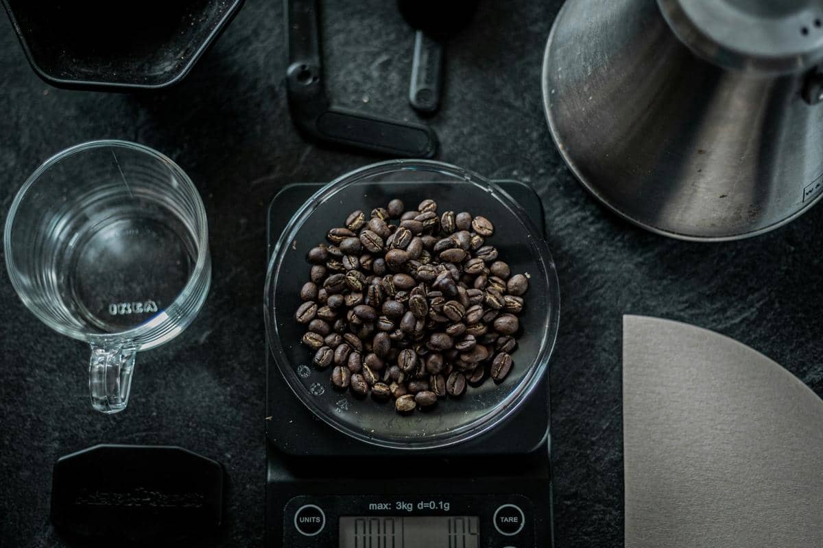 ilustrasi biji kopi dark roast