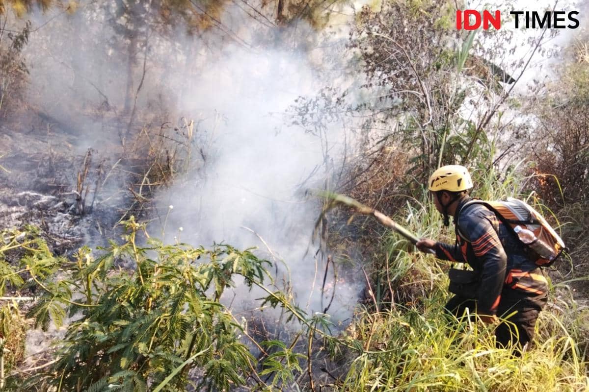 Kebakaran Hutan Gunung Lawu Magetan Padam, 9 Hektare Sempat Terbakar