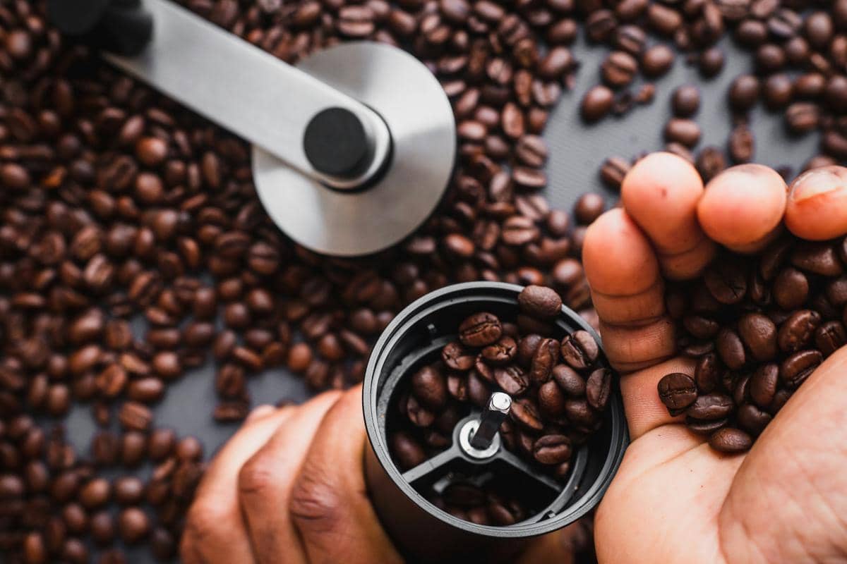 ilustrasi biji kopi yang akan diolah dan digiling