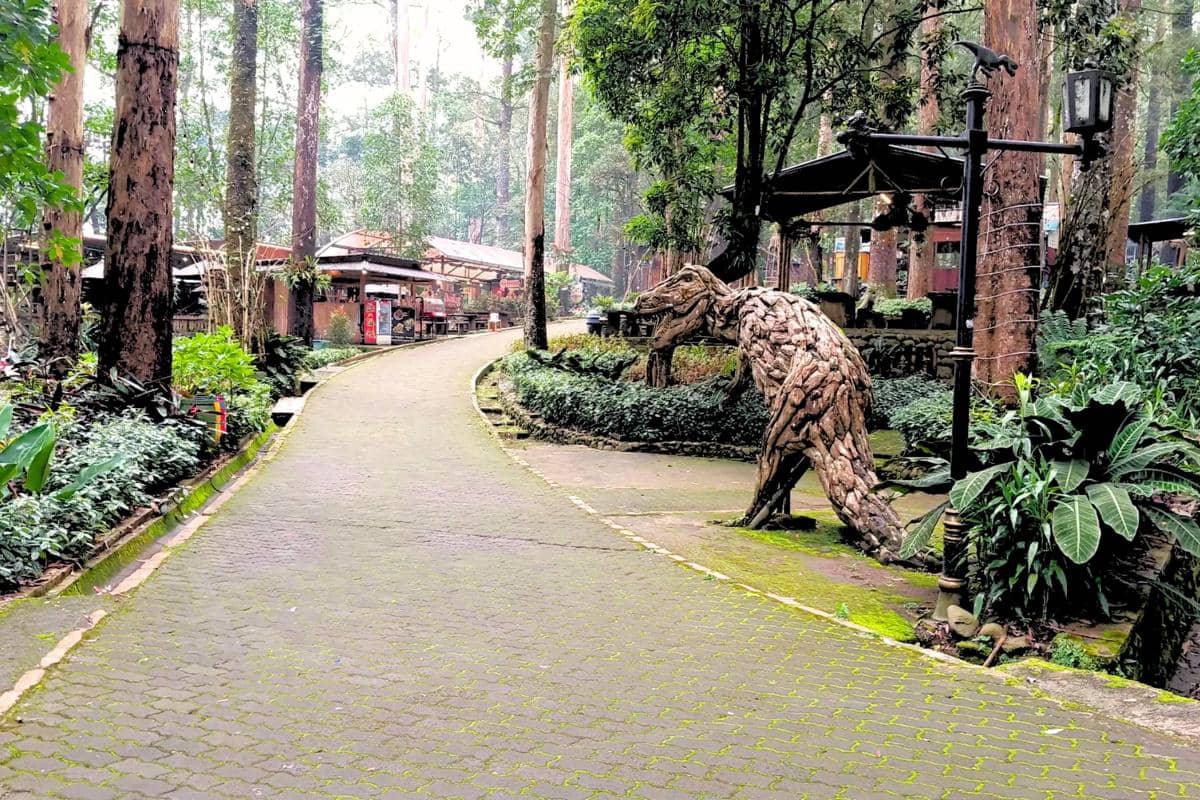 Mojosemi Forest Park, Magetan, Jawa Timur