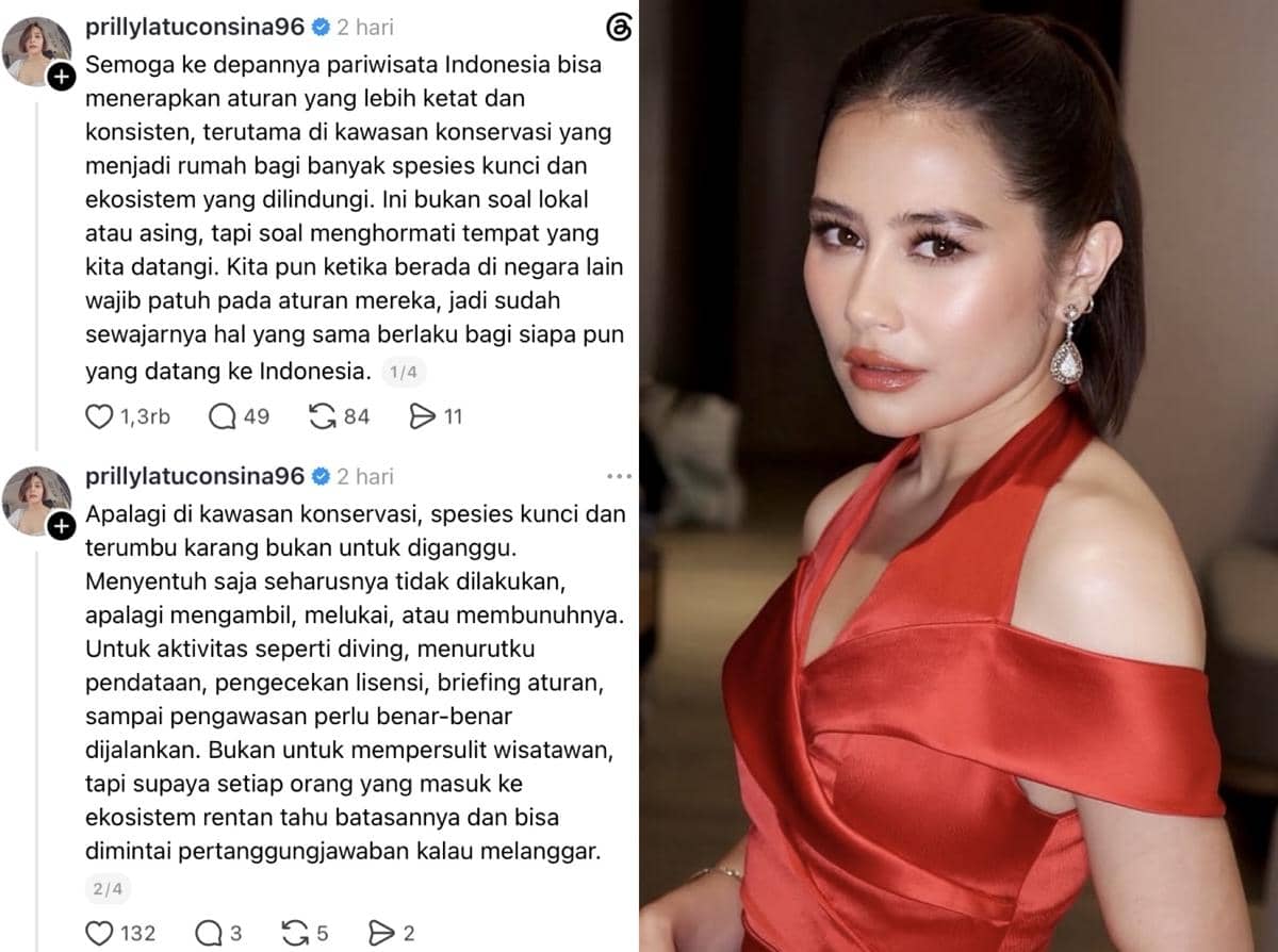 Sederet Artis Soroti Kasus WNA Diduga Buru dan Makan Penyu Raja Ampat