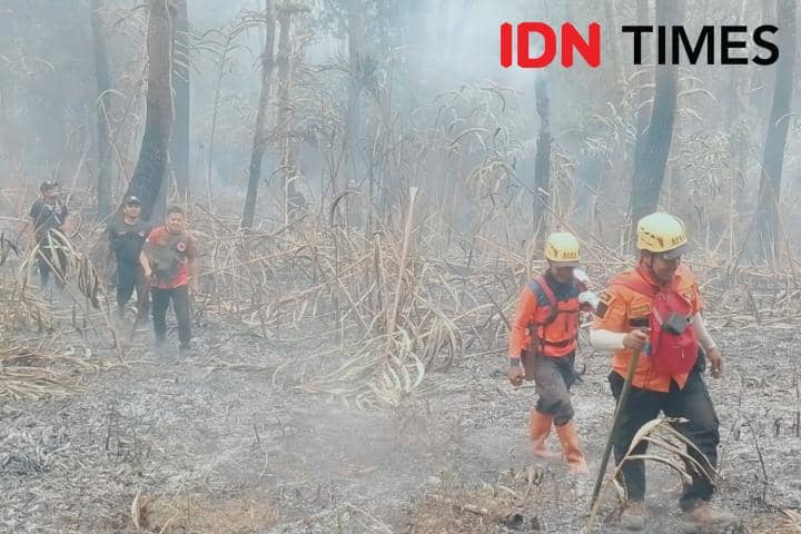 Gunung Lawu di Magetan Kembali Terbakar, Jalur Pendakian Ditutup