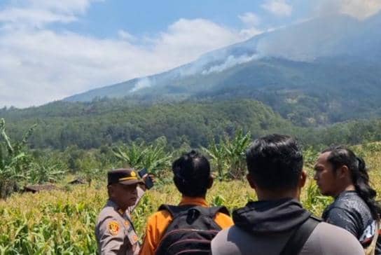 Karhutla Muncul Beruntun di Madiun Raya, Lawu dan Wilis Terbakar