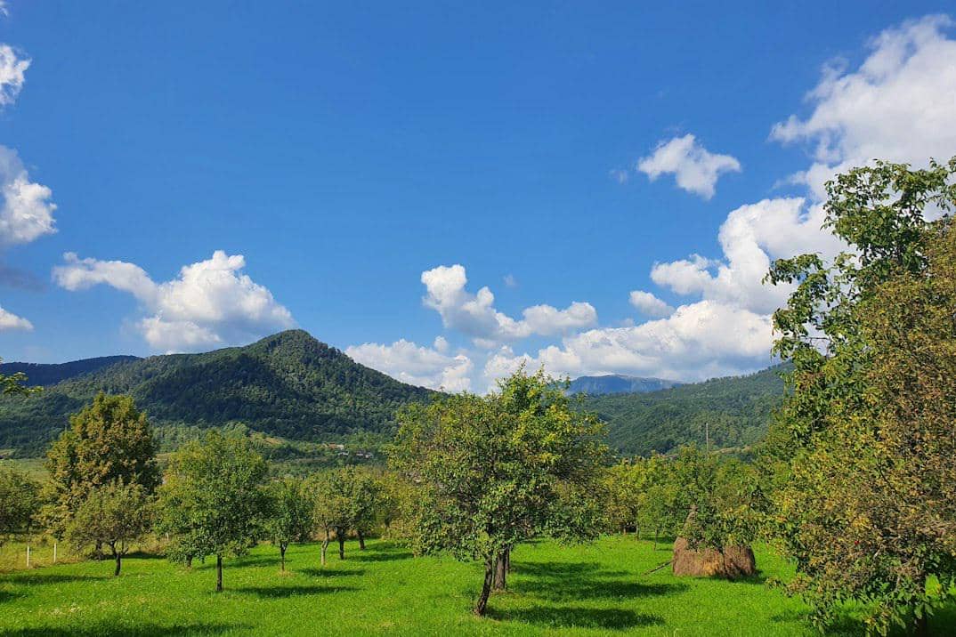 ilustrasi Khao Yai, Thailand
