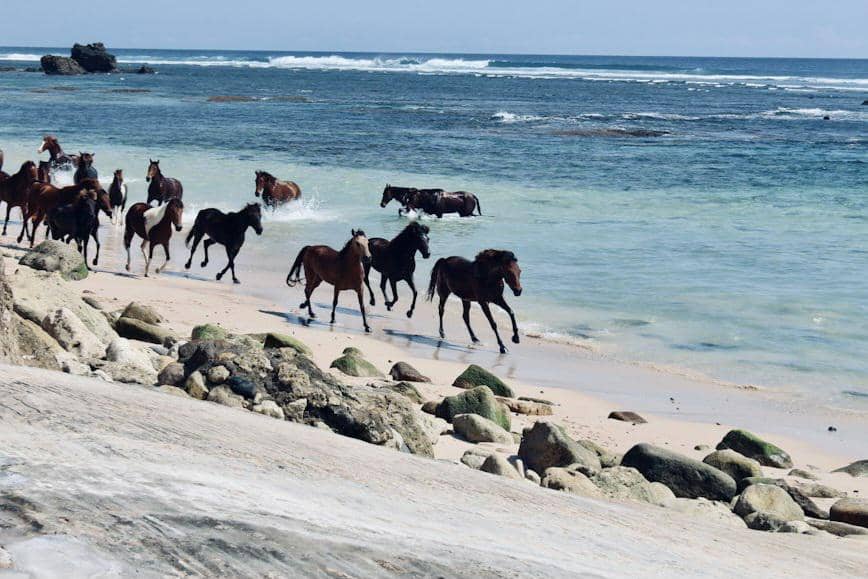 ilustrasi Sumba, Indonesia