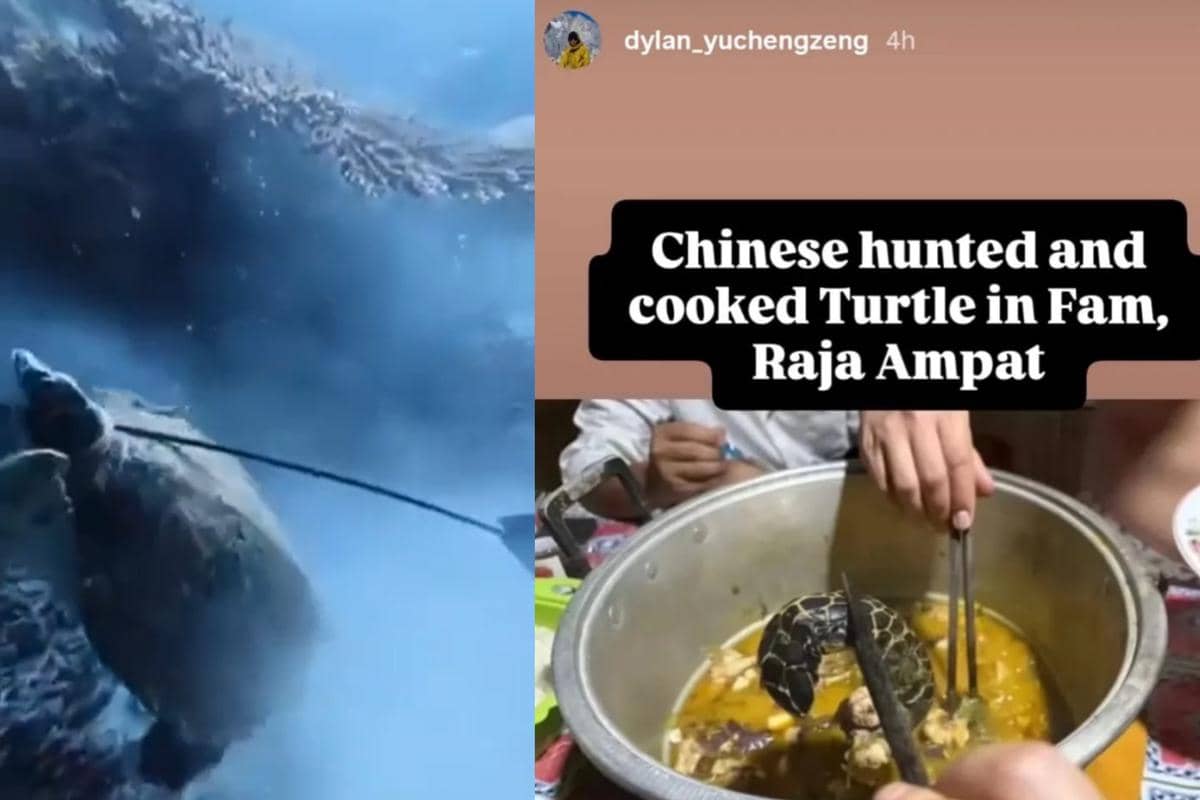 Rekaman video (WNA) asal China, Wei Shang, saat berburu penyu secara ilegal di perairan Raja Ampat. (Dok. Istimewa)