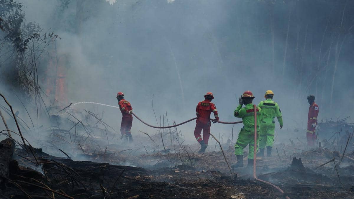 Aktif Tangani Karhutla, Berau Coal Raih Penghargaan dari Pemkab Berau
