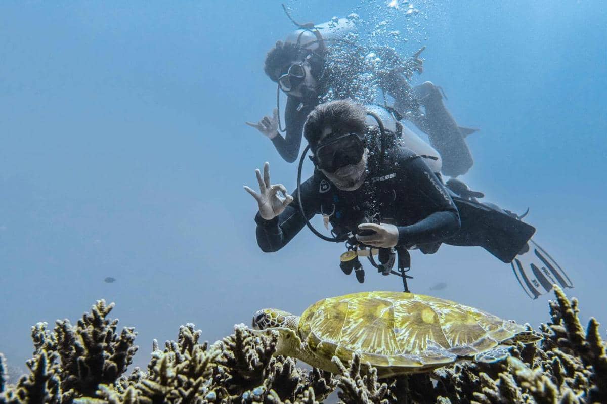 Kementerian Pariwisata RI mengecam dugaan perburuan penyu di kawasan Raja Ampat.
