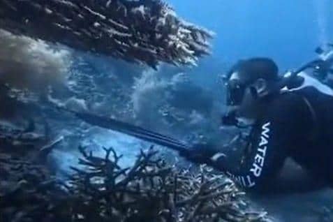 WNA China Dicegat di Bandara Makassar usai Berburu Penyu di Raja Ampat