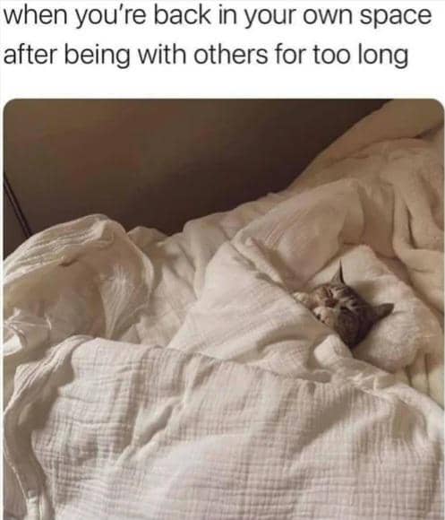 meme kucing tentang kenyamanan
