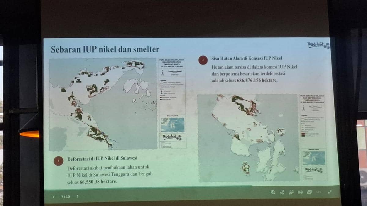 Trend Asia mencatat sekitar 12 juta hektare atau lebih dari 50 persen wilayah Sulawesi berada dalam kategori risiko bencana sedang hingga ti