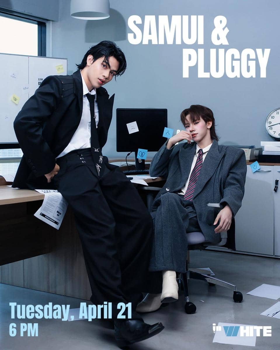 InWhite Live Session Samui x Pluggy