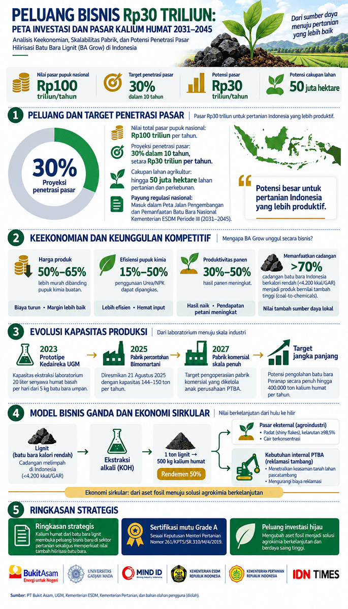 Infografik: Keekonomian Batu Bara Masuk Sawah (IDN Times/Dhana Kencana)