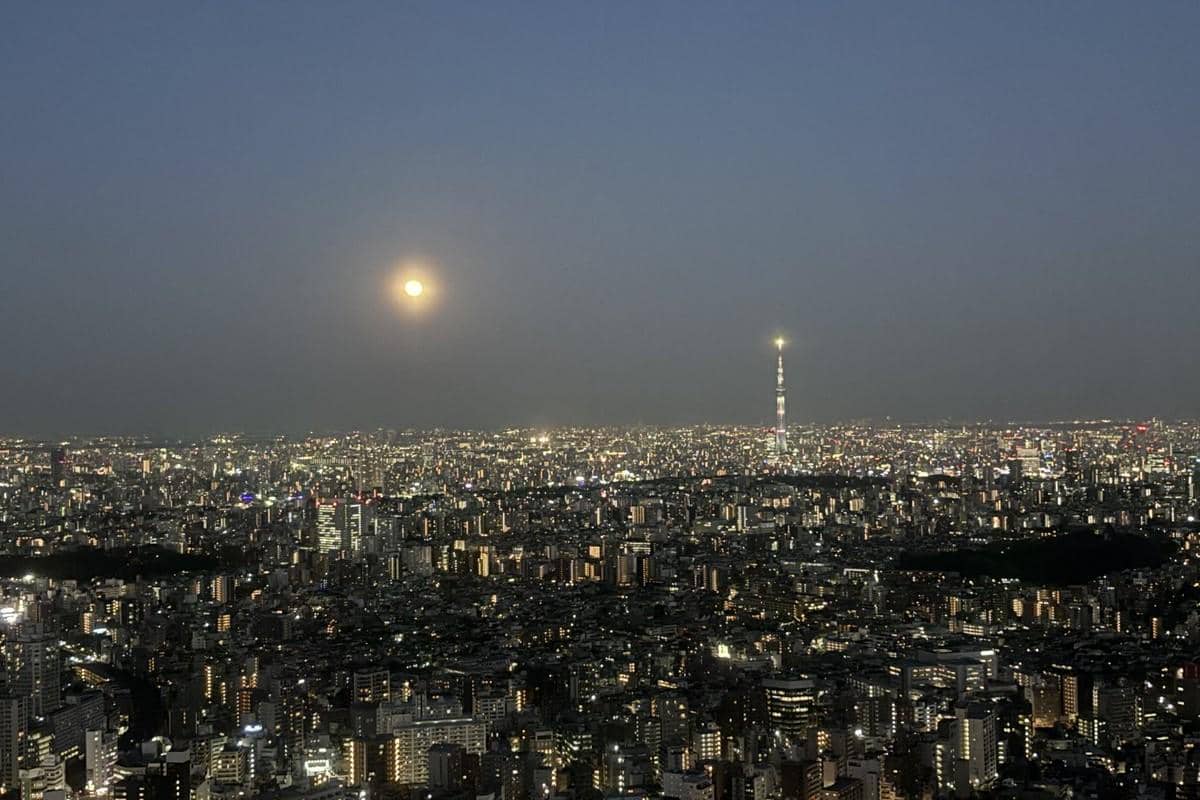Pemandangan kota Tokyo dari Sunshine 60 Observatory