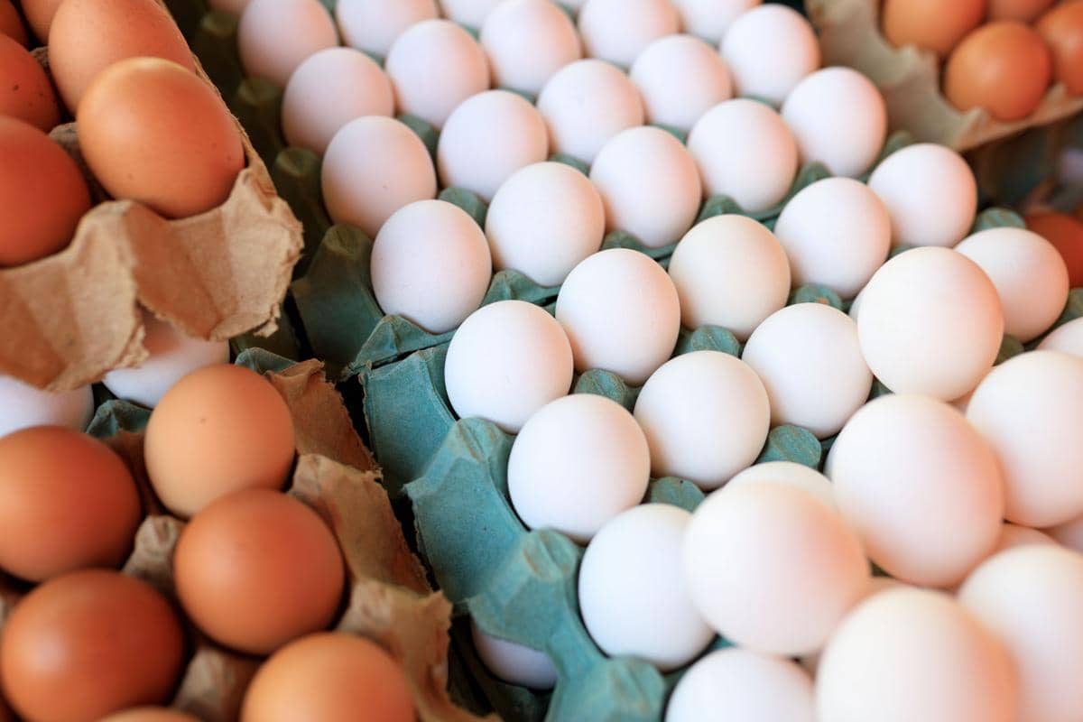 Tumpukan puluhan butir telur ayam berwarna putih dan beberapa berwarna cokelat yang tersusun rapat di dalam wadah karton penyimpanan.