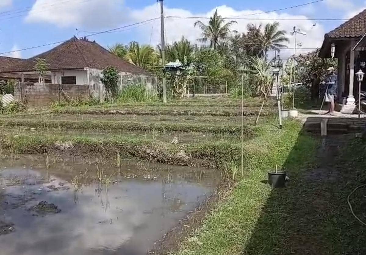 Petani di Subak Jaka Tabanan Manfaatkan Drone Untuk Pemupukan