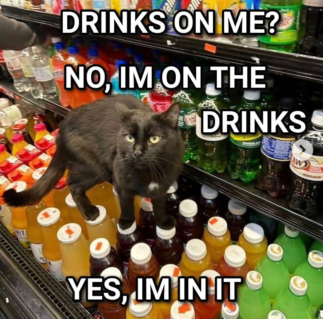 meme kucing tentang botol