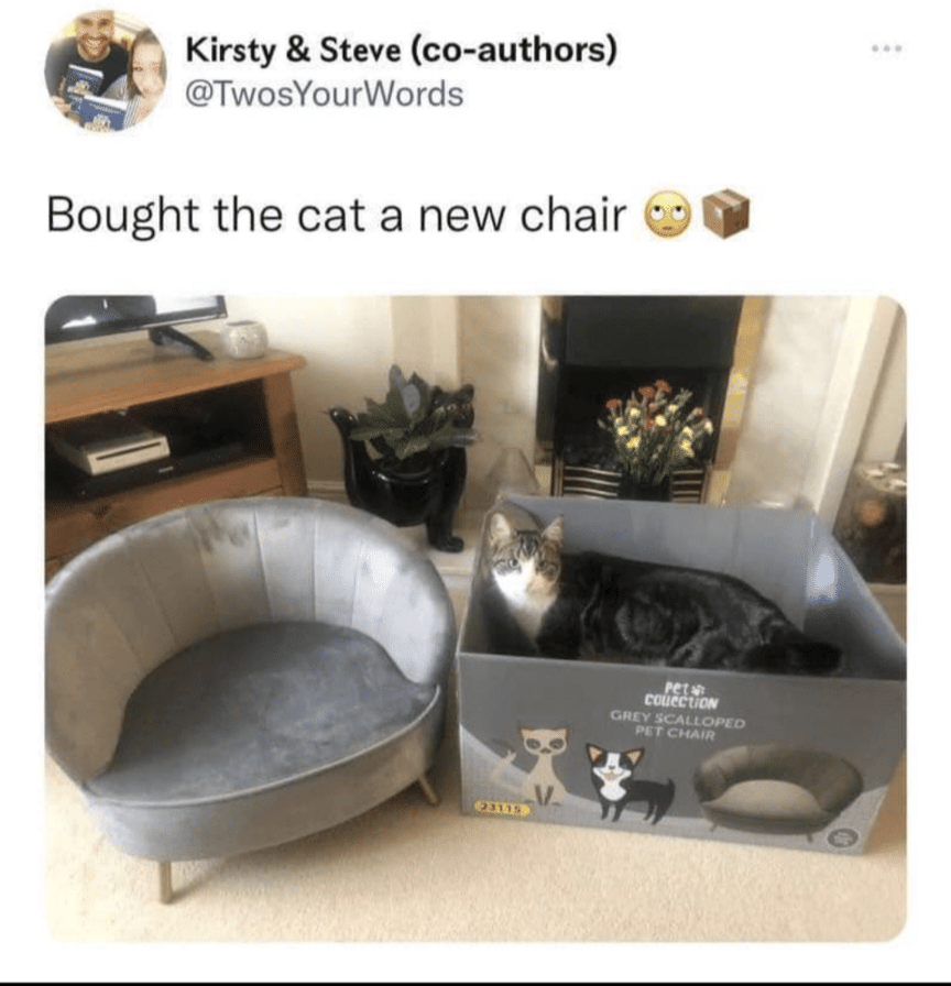 meme kucing tentang kursi