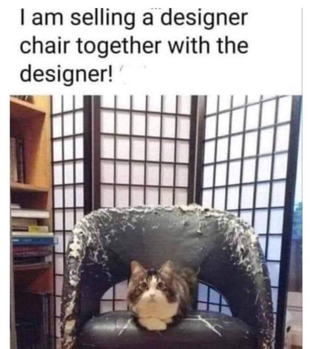 meme kucing tentang kursi